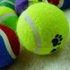Tennis Ball Chew Toys