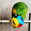 Bird Bites Hanging Ball Cage