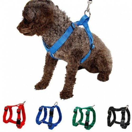 Adjustable Collar Safety Control Restraint