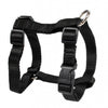 Adjustable Collar Safety Control Restraint