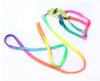 Small Pet Harness Nylon Collar